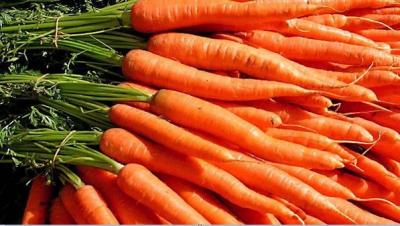 Buy Fresh Onions, Garlic, Grapes, Fresh Apple, Ginger, Potatoes, Carrots - Img 2