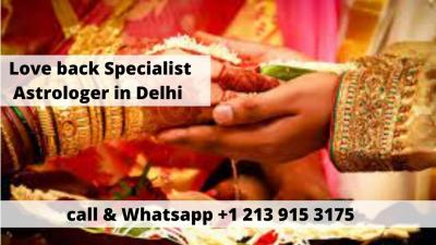 Love back Specialist Astrologer in Delhi -Spiritual Healer Specialist - Img 1