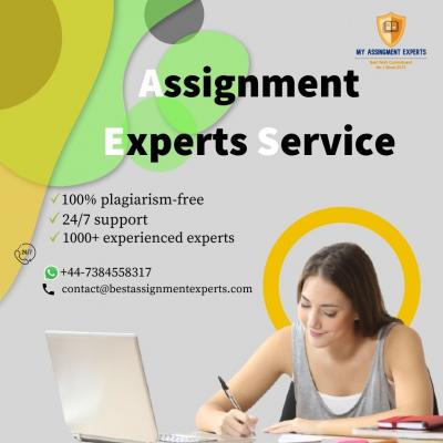 Online Assignment Experts Help - Assignment Writing Help - Img 1