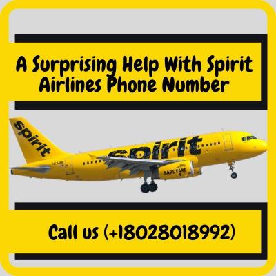 A Surprising Help With Spirit Airlines Phone Number - Img 1
