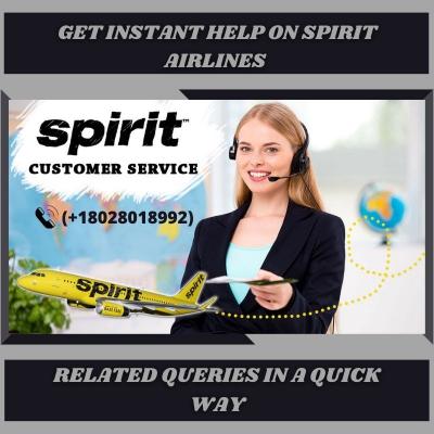 Get Instant Help On Spirit Airlines Related Queries In A Quick Way - Img 1