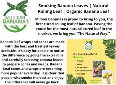 Smoking Banana Leaves | Natural Rolling Leaf | Million Bananas - Img 1