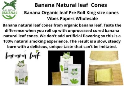 Banana Organic leaf Pre Roll King size cones | Vibes Papers Wholesale - Img 1