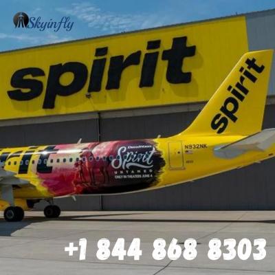 Spirit Airlines Flight Booking Number +1 844 868 8303 - Img 1