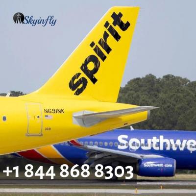 Spirit Airlines Reservation Phone Number +1 (844) 868-8303 - Img 1