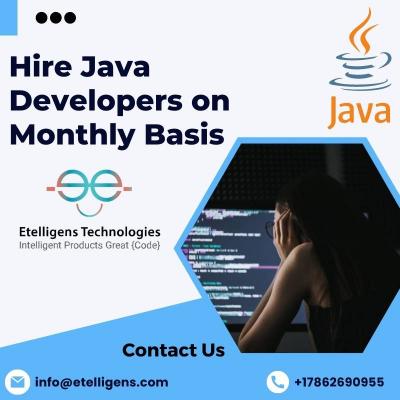Hire Java Developers on Monthly Basis                                 - Img 1
