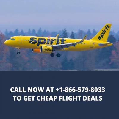 Book Cheap Spirit Airlines Flights +1-866-579-8033 - Img 1