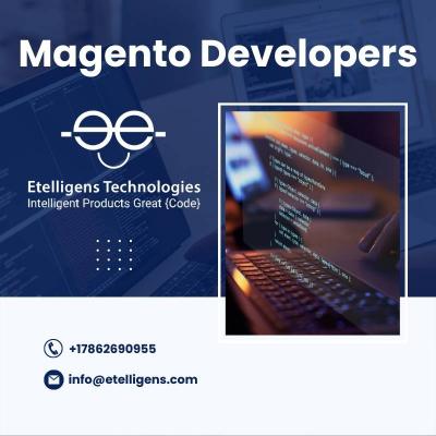 Hire Professional Magento Developers                                                   - Img 1