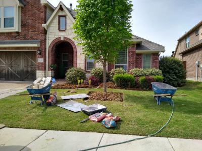 Jose Sotelo Landscaping and Tree service in Texas. - Img 1