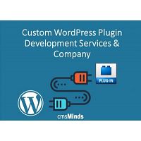 Custom WordPress Plugin Development Services &amp; Company