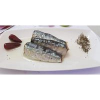 Moroccan Sardines distributors,