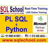PRACTICAL PL SQL 2017 REALTIME Online Training