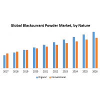 Global Blackcurrant Powder Market