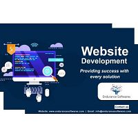 Best Web Development Company India | Endurance Softwares