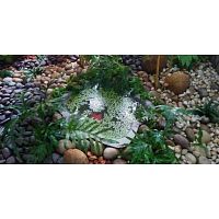 Landscape services