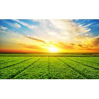 Selling vacant land