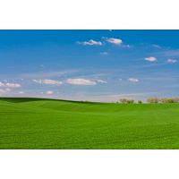 Looking for sell your land?