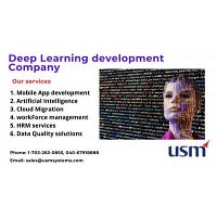 Deep learning development companies in Virgina, Texas, USA