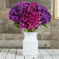 New Jersey Flower Delivery at your doorstep - Eden Farm Fresh