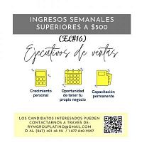 Busco emprendedores (vendedores o vendedoras) !!!!!