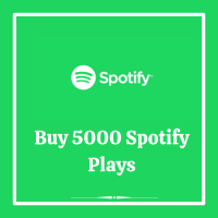 Buy 5000 Spotify plays from legit site