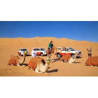 Dubai Desert Safari | The Ultimate Adventure Experience