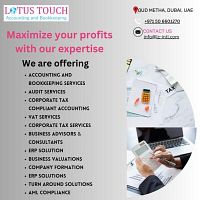 Top Chartered Accountant and Auditing Support Firm in Dubai, UAE