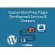 Custom WordPress Plugin Development Services &amp; Company