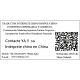 Traductor intérprete de chino a español en Shanghai y Cantón
