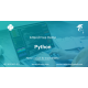 Python language online training