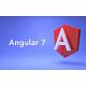 Angular 7 &amp; JS Online Training