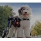 Best Friend Mobility Dog wheelchair                                   