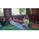 300 Hour Yoga Teacher Training in India