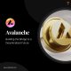 Avalanche Development Company | Hire Avalanche Developers