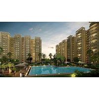 Buy Premium Luxury Flats in Noida