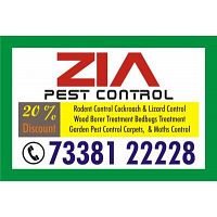 Pest Control | Wood Borer Service | 927 | 7338122228 | Rodent Treatment