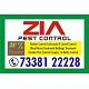 Pest Control | Wood Borer Service | 927 | 7338122228 | Rodent Treatment