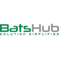 Batshub - It Services Company India, It Solutions, Web Design
