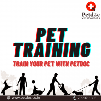 Petdoc day care centres in hyderabad