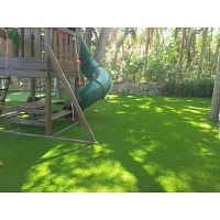 Artificial Grass for Playground