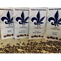 Quebec Cannabis Seeds Coupon Code Get 30%  OFF | ScoopCoupons |