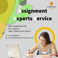 Assignment Experts Service | Online Assignment Service