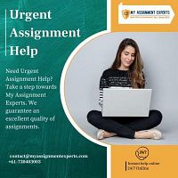 Urgent Assignment Help - Urgent Assignment Writing Help