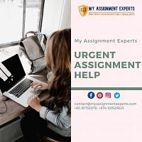 Urgent Assignment Help By Highly Qualified Expert @20  % OFF