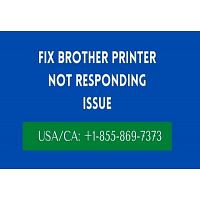 Brother Printer Not Responding | Solution To Fix this Error
