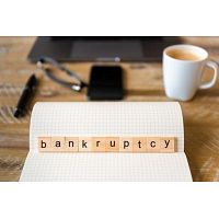 Bankruptcy Definition New York, NY (Financial Services)