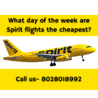 What day of the week are Spirit flights the cheapest?