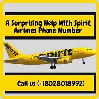 A Surprising Help With Spirit Airlines Phone Number