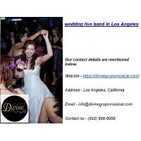 Wedding live band In Los Angeles ^ - Wedding live band In Los Angeles*