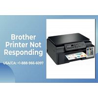 Brother Printer Not Responding | How to Fix This Issue